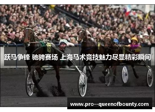 跃马争锋 驰骋赛场 上海马术竞技魅力尽显精彩瞬间 跃马争锋 驰骋赛场 上海马术竞技魅力尽显精彩瞬间