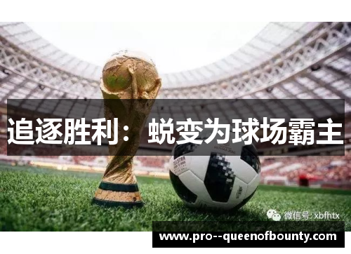 追逐胜利:蜕变为球场霸主 追逐胜利:蜕变为球场霸主