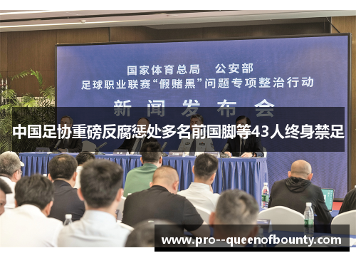 中国足协重磅反腐惩处多名前国脚等43人终身禁足 中国足协重磅反腐惩处多名前国脚等43人终身禁足