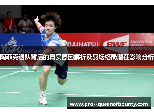 陶菲克退队背后的真实原因解析及羽坛格局潜在影响分析